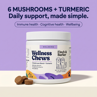 Burk med Finch & Barker Wellness Chews och mjuka tuggbitar på en ljus plattform mot lavendelfärgad bakgrund.