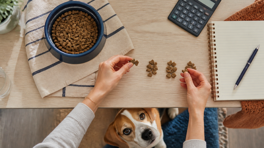 Owner calculating a dog's daily treat calorie budget beside measured food and rewards