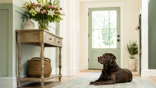 Chocolate Labrador resting safely away from a spring bouquet