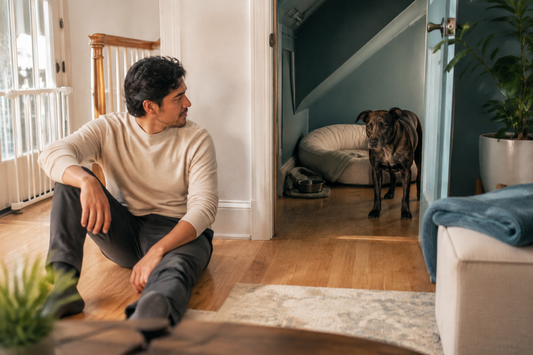 Brindle rescue dog standing in a prepared quiet room while a seated owner gives the dog space