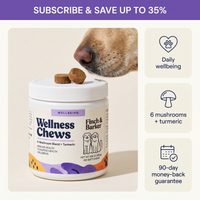 Finch & Barker Wellness Chews bredvid en labradors nos, med information om dagligt välmående och prenumerationsrabatt.