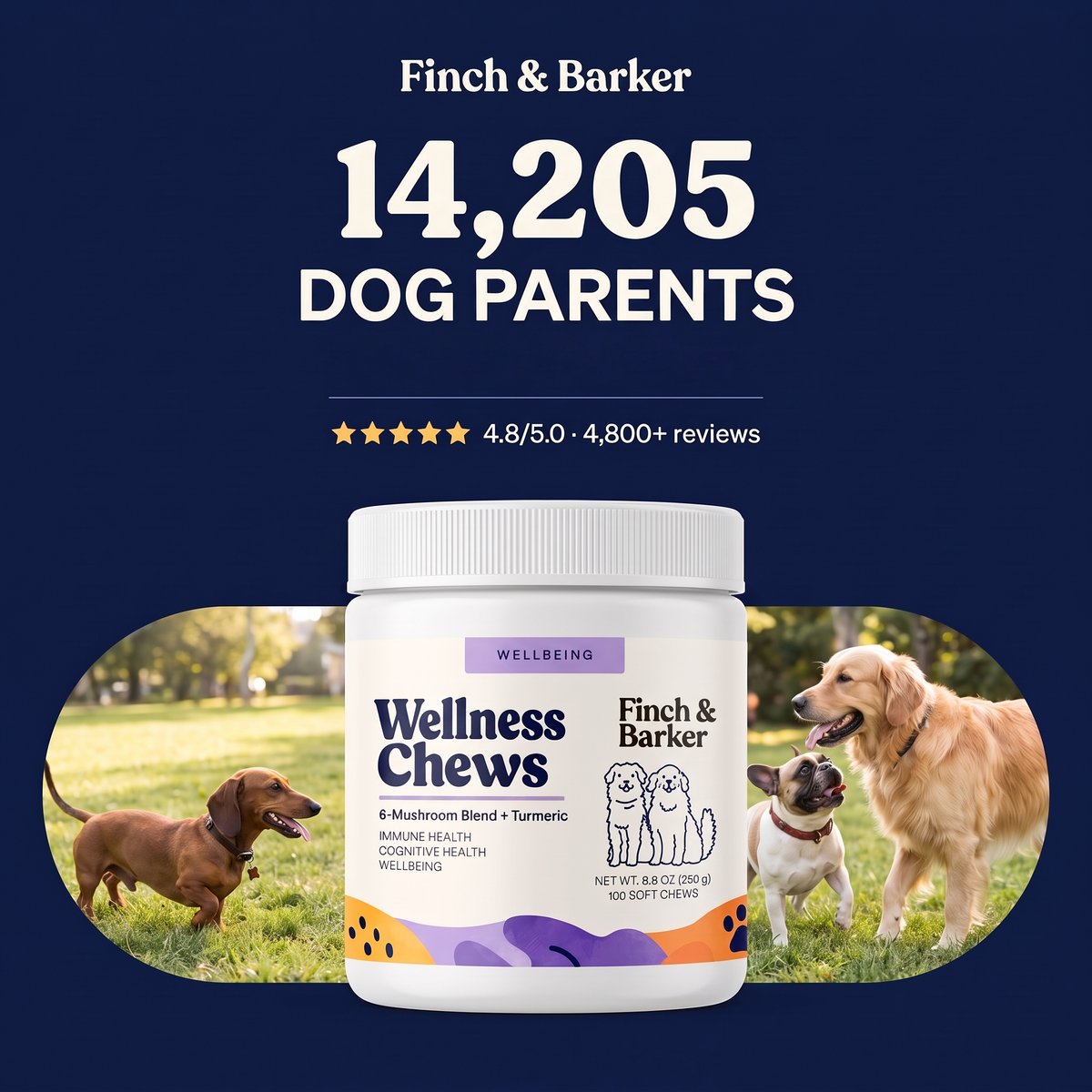 Produktbild för Finch & Barker med 14 205 hundägare och ett kundbetyg.