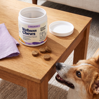 Corgi tittar upp bredvid ett ekbord med Finch & Barker Wellness Chews.