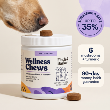Mushroom Chews