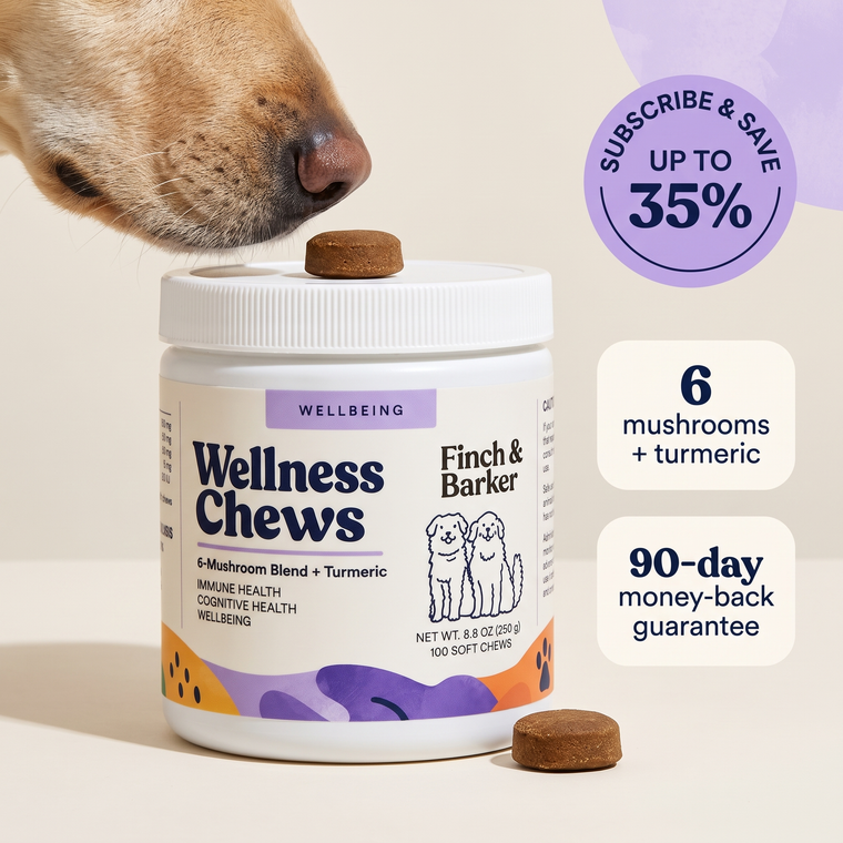 Labrador sniffing a Finch & Barker Wellness Chews jar beside a subscription savings offer.