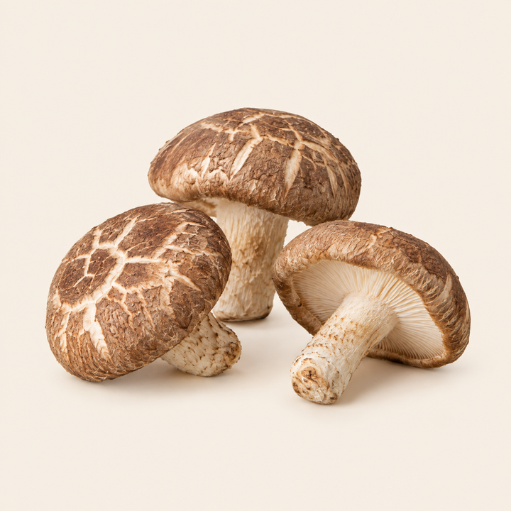 Shiitake