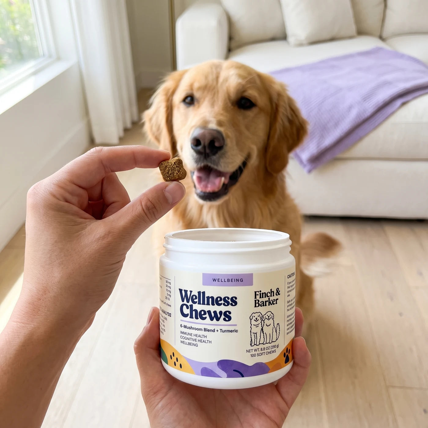 Golden retriever som njuter av Finch & Barker Wellness Chews