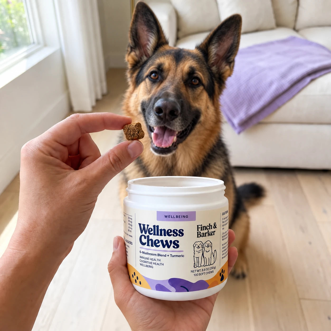 Schäfer som får Finch & Barker Wellness Chews bredvid produktburken